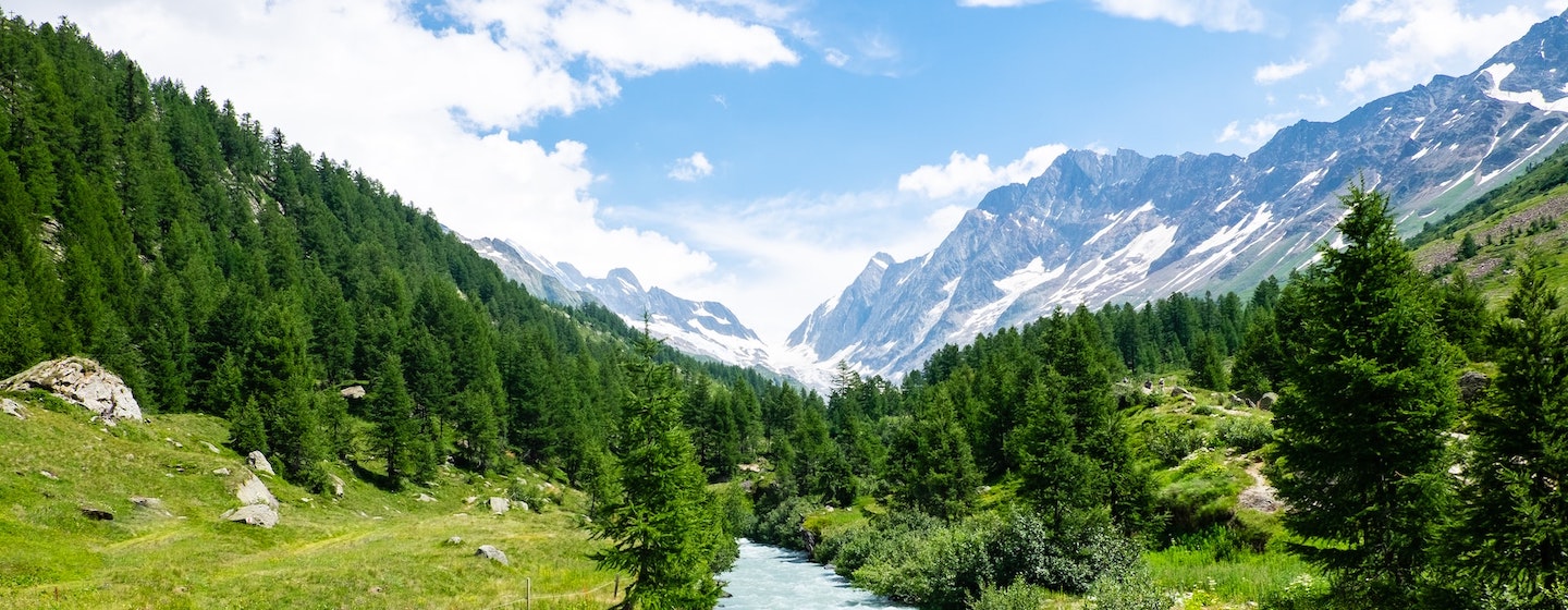 river flowing through a lush green valley surrounded by mountains in the distance